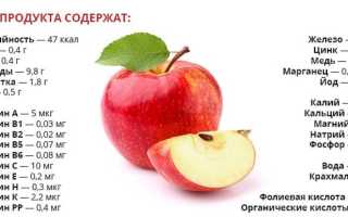 Употребление яблок: польза и вред для организма