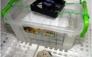Вентиляция инкубатора: как влияет на вывод птенцов, как сделать самому