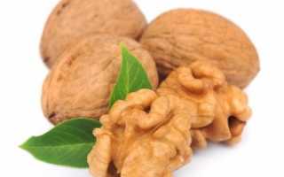 Польза и вред грецких орехов, использование в медицине и косметологии