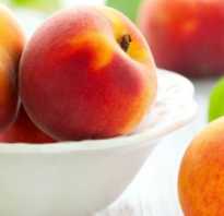 Вредители персика и борьба с ними