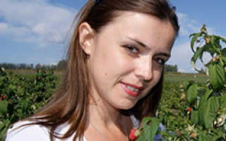 Укрытие винограда на зиму на Украине