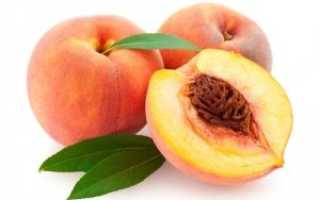 Уход за персиком весной – обязательный и кропотливый труд