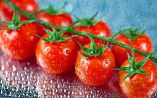 Поливать ли помидоры в период созревания?