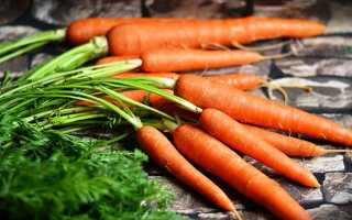 Когда сажать морковь в этом году по лунному календарю?