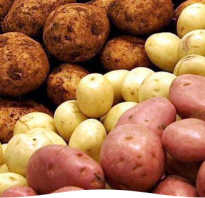 Лучшее время для посадки картофеля
