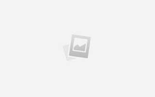 Фасоль спаржевая Борлотто — описание сорта, фото, отзывы, посадка и уход